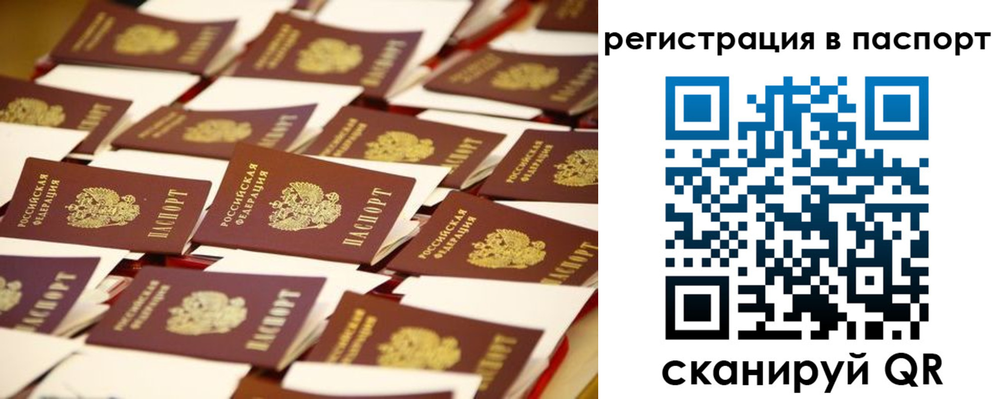 прописка гарантия в Белогорске